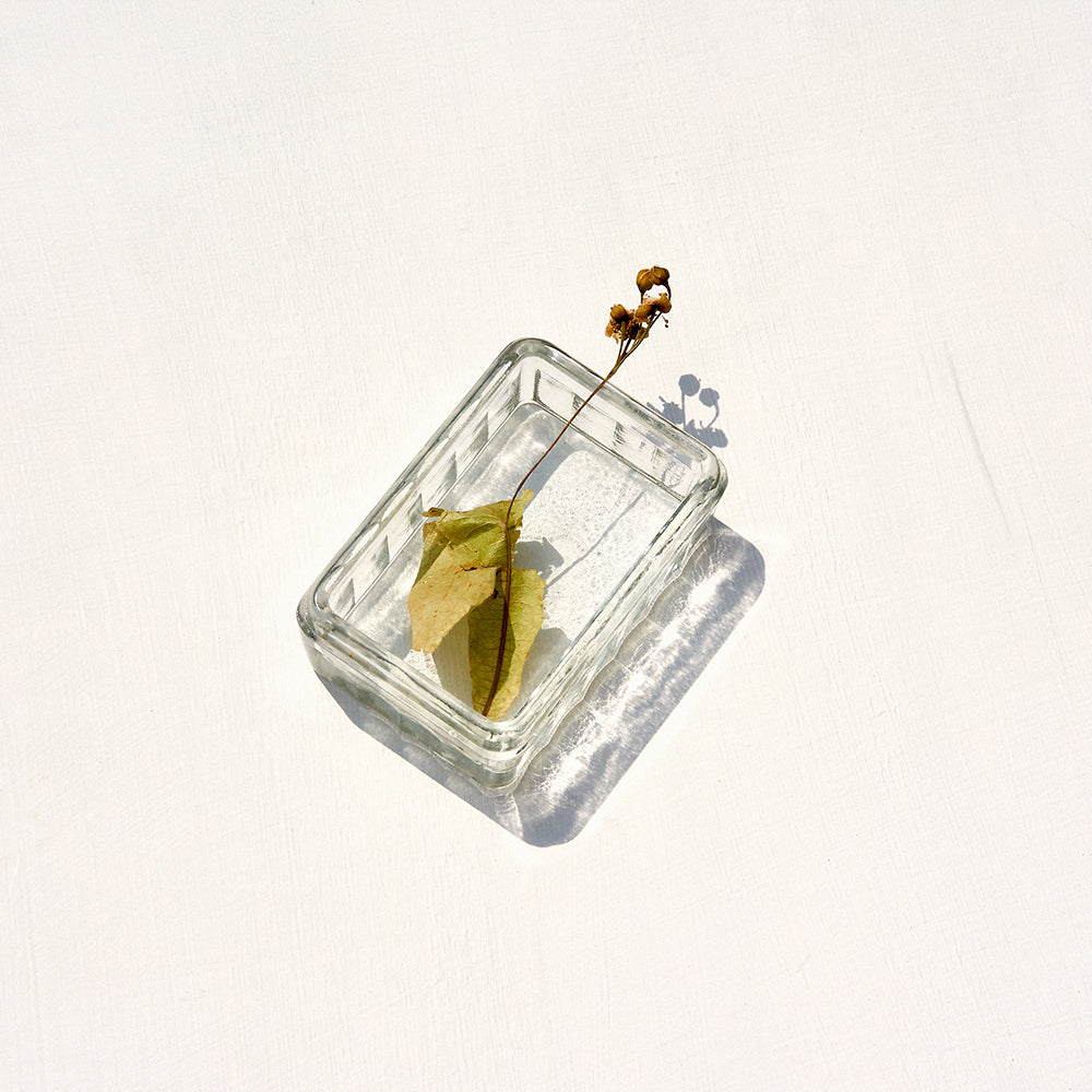 SCENTED CANDLE - BOUGIE L'EAU ENSOLEILLÉE DE ROSE