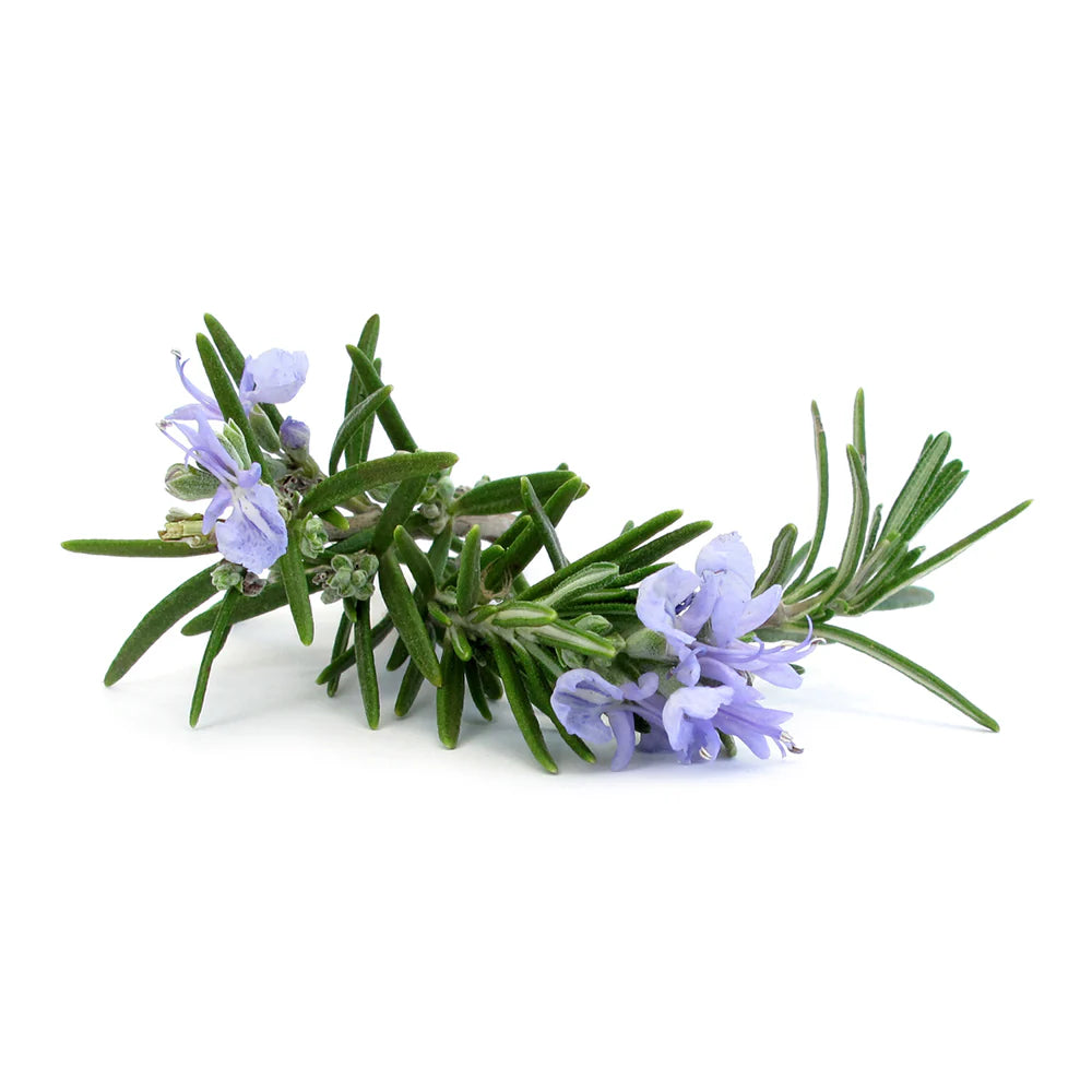 Alecrim Purifying Hand Cream