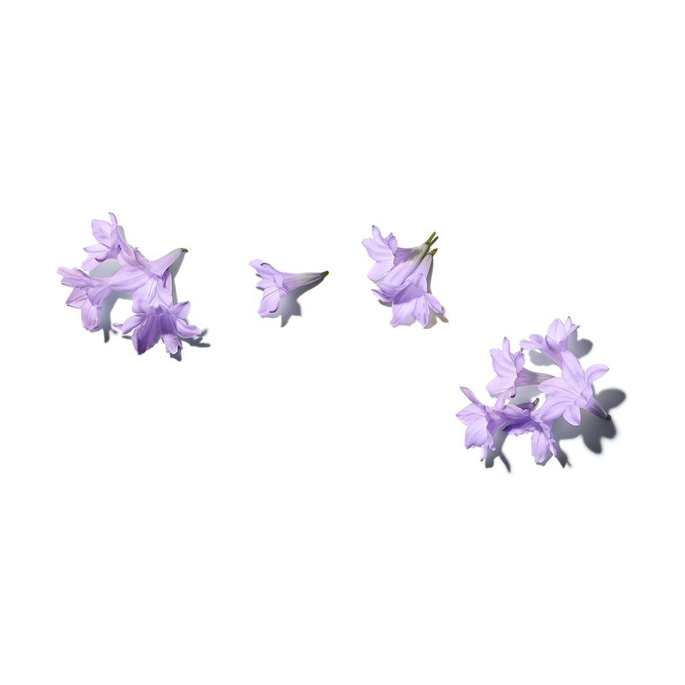 JACARANDÁ CALMING SHOWER GEL 500ML