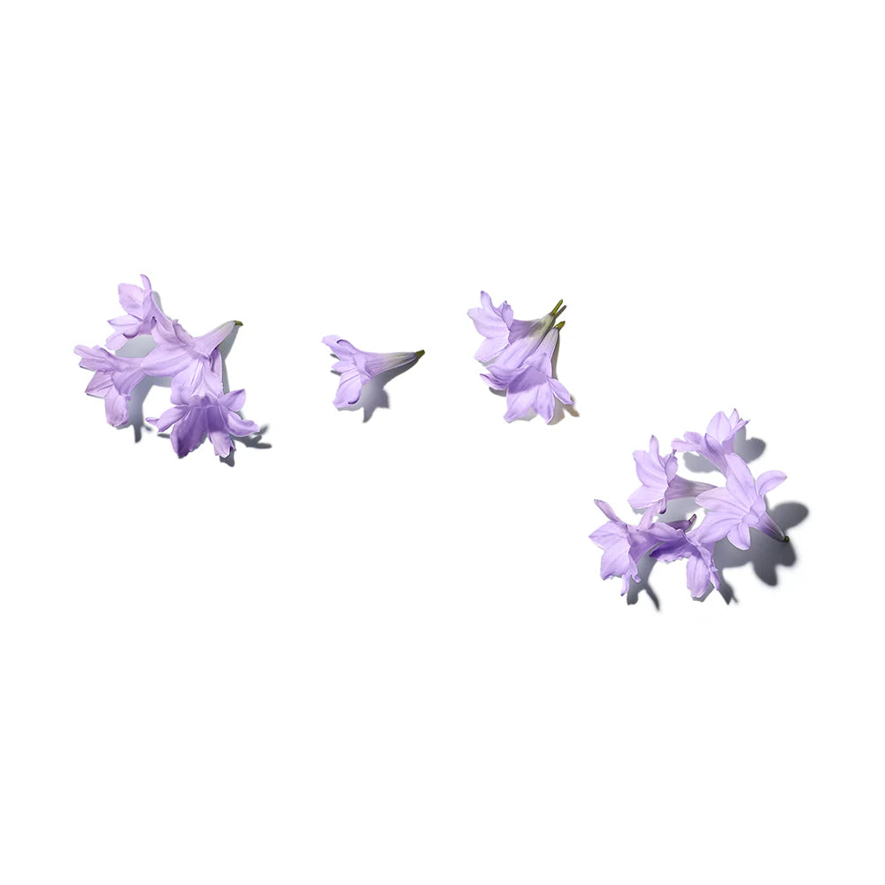 Jacarandá Calming Soap 100g