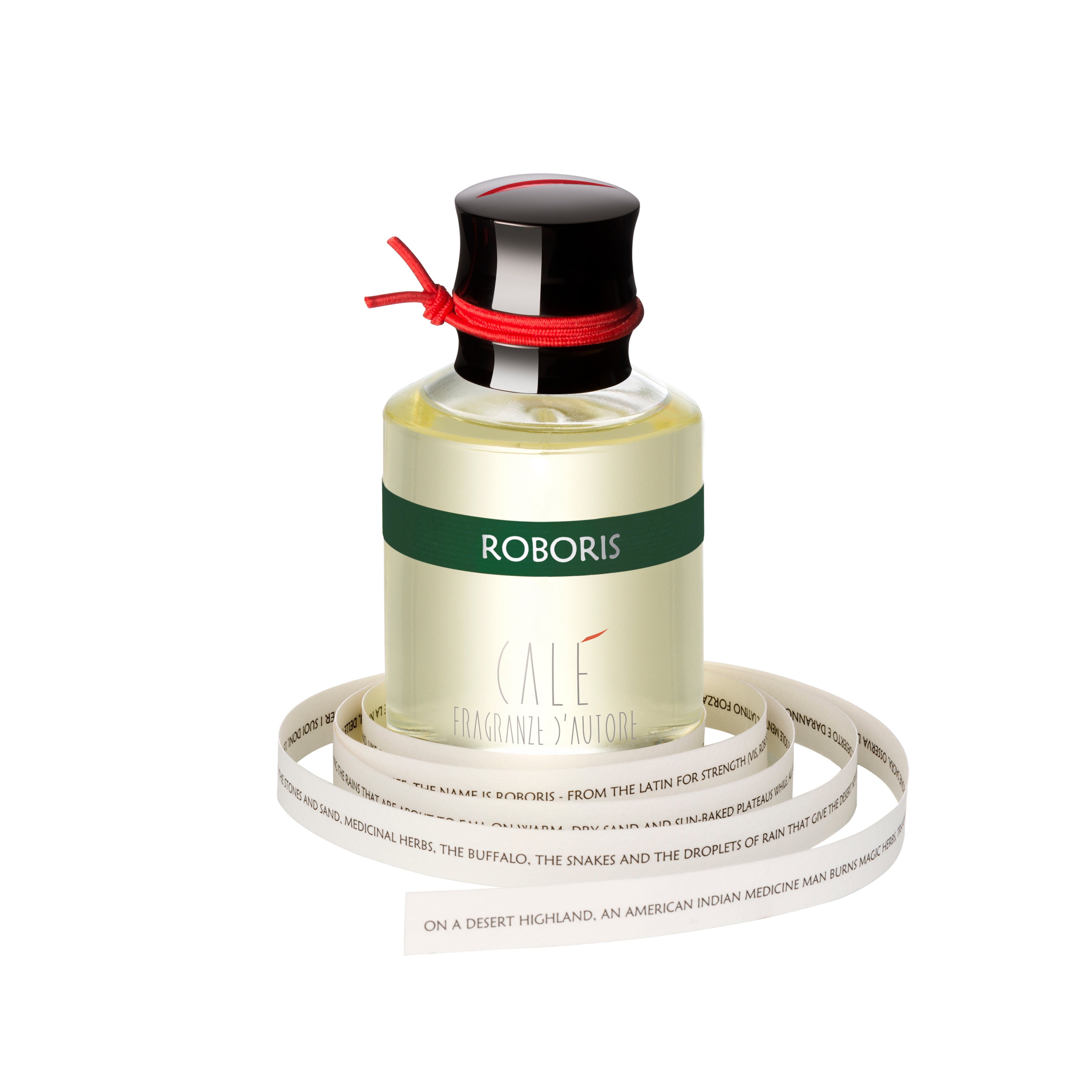 Roboris