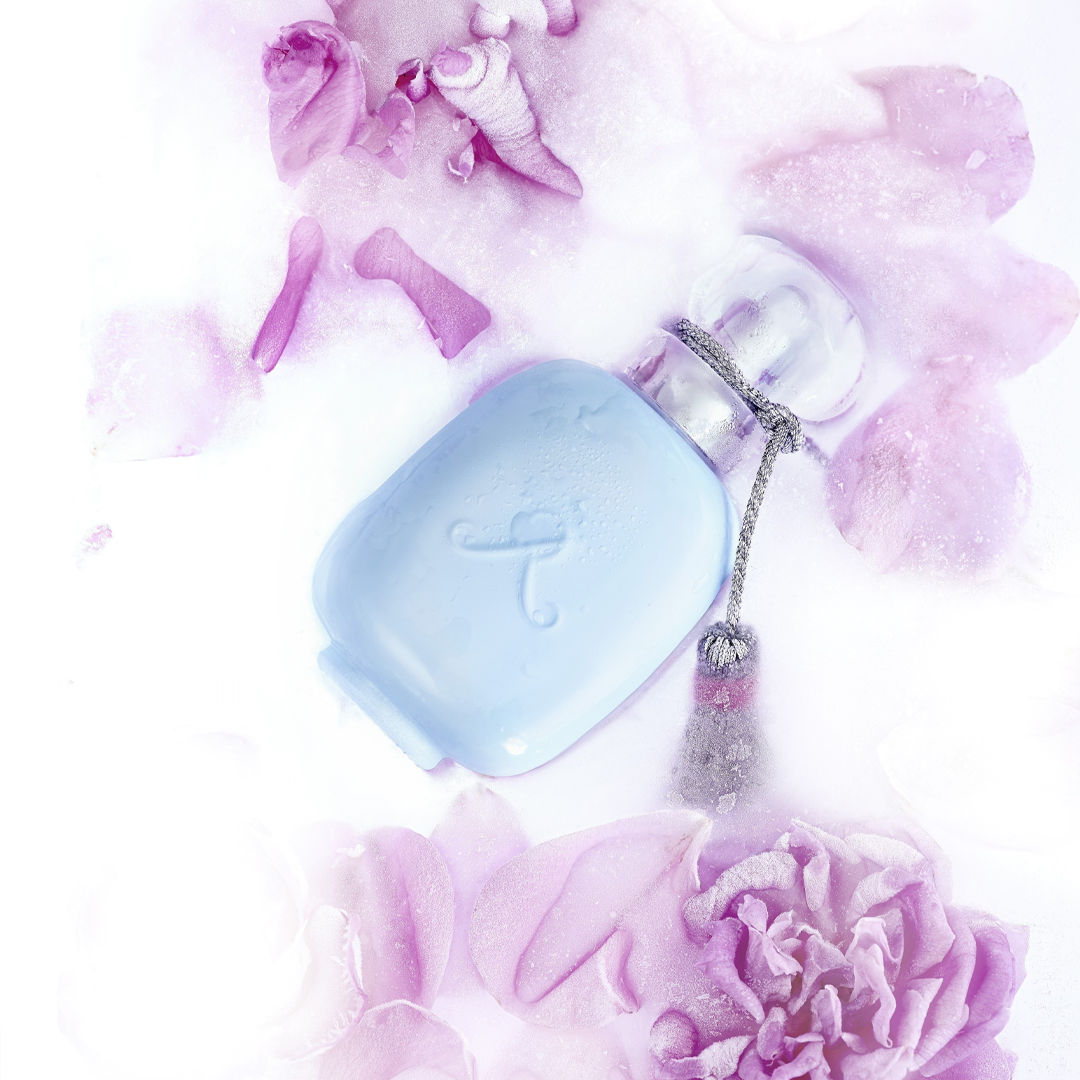 روز دي نيج (Rose des Neiges)