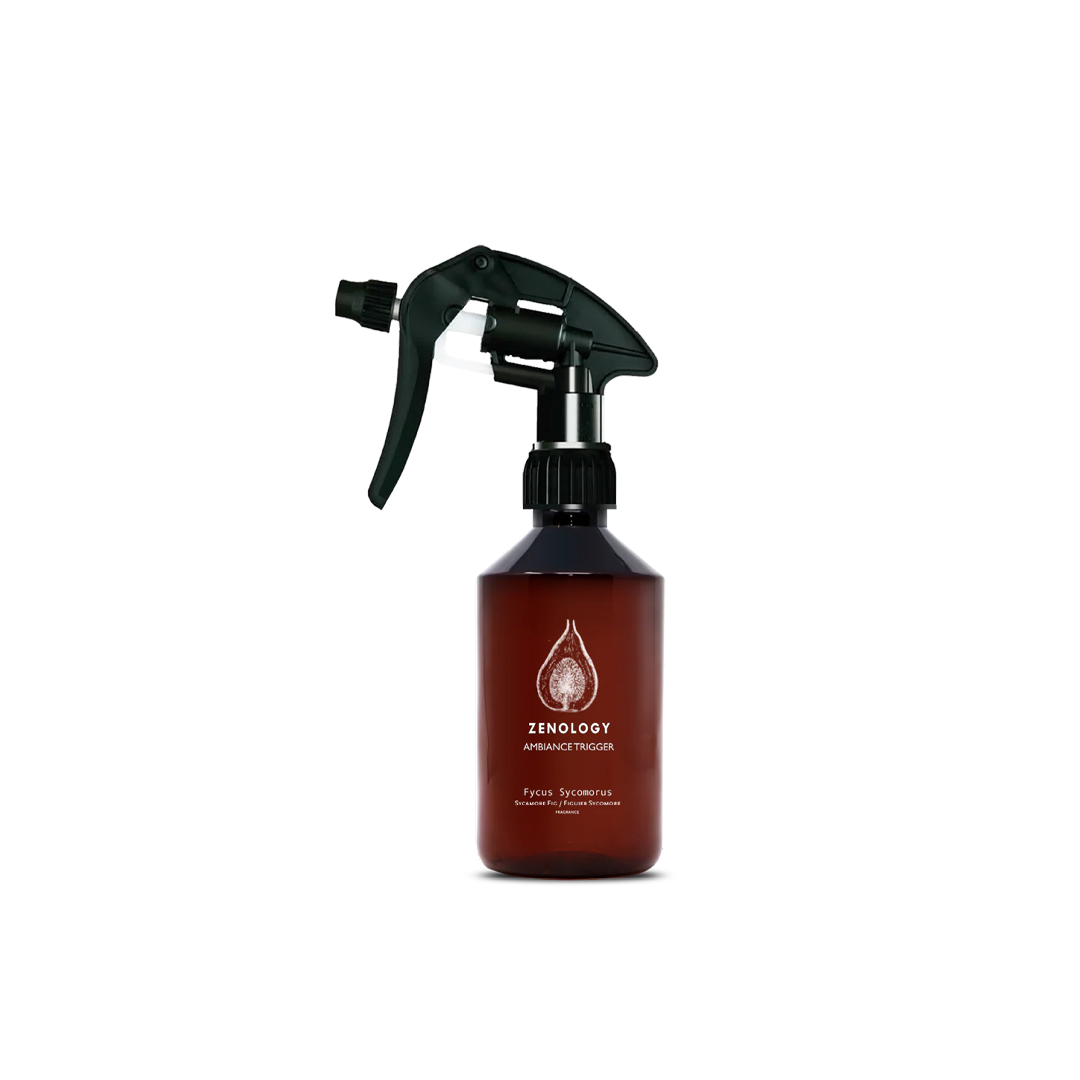 Fycus Sycomorus Ambiance Spray