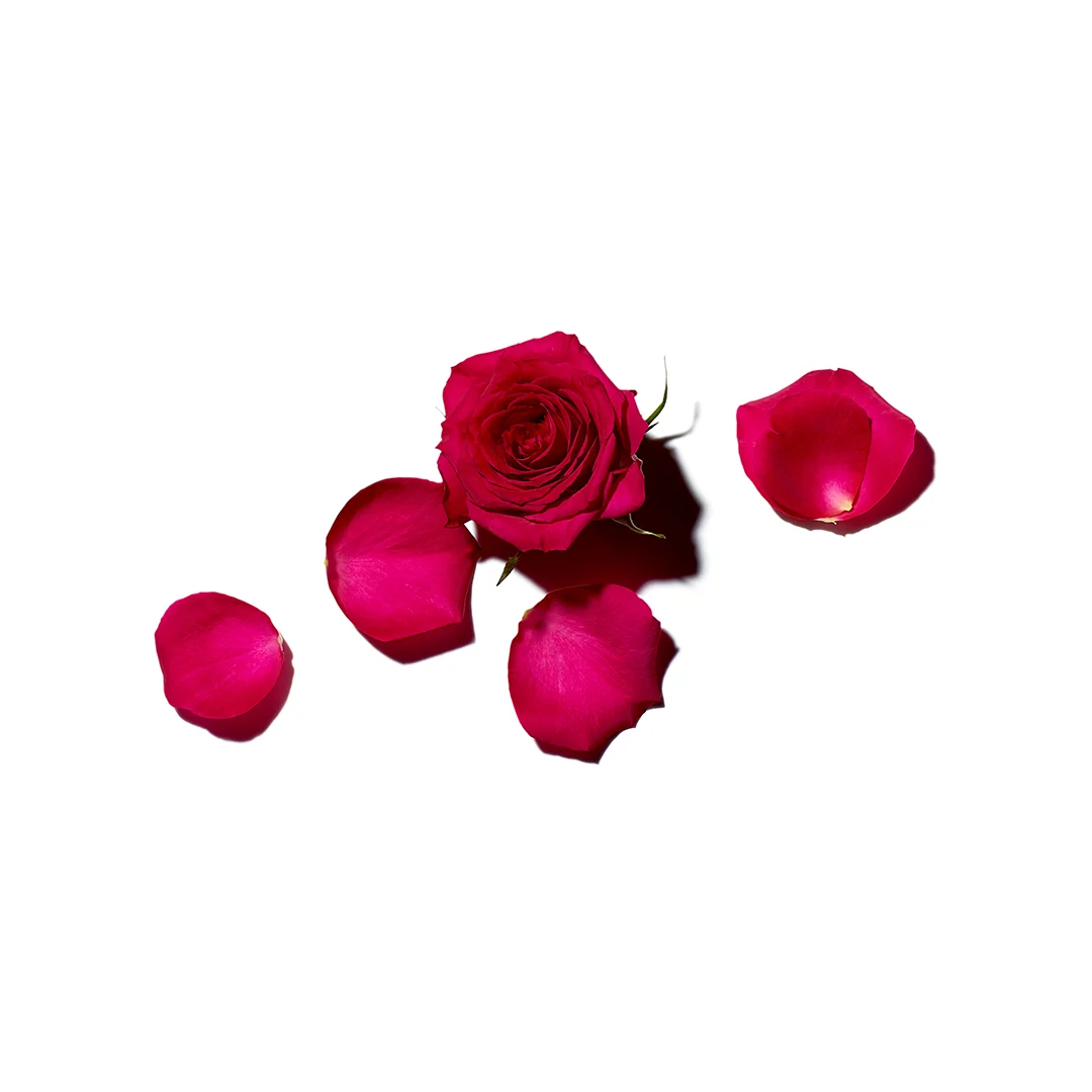 Rose Amélie Soap