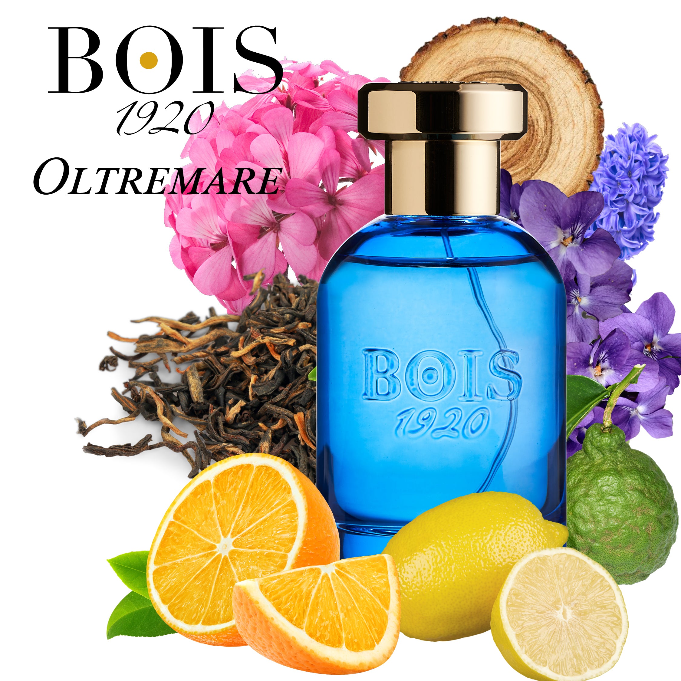 Oltremare - BOIS 1920